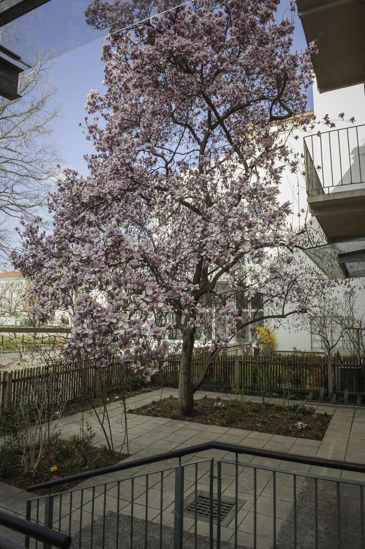 Haus Mobene - Hotel Garni Graz Bagian luar foto